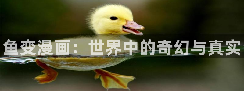 禁漫天堂a漫画免费