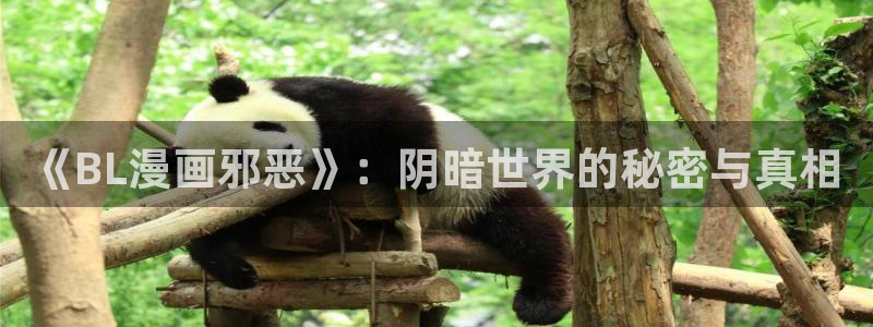 禁漫天堂最新