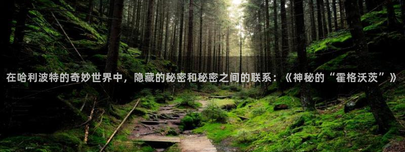 禁漫天堂漫画怎么下载