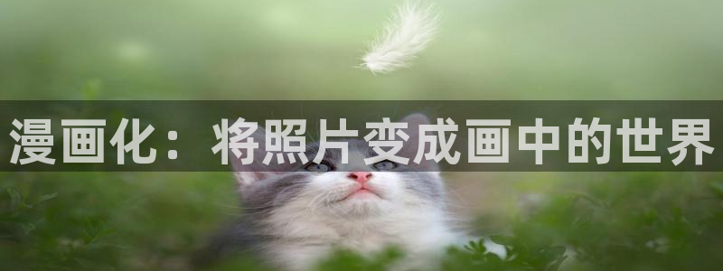 禁漫天堂的网址