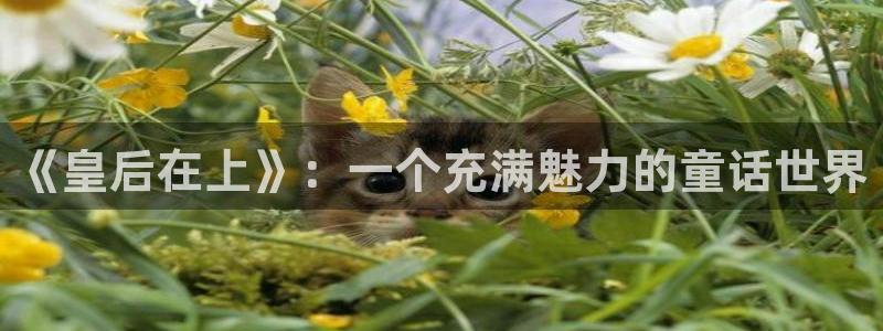 男男禁漫bl网站入口动漫
