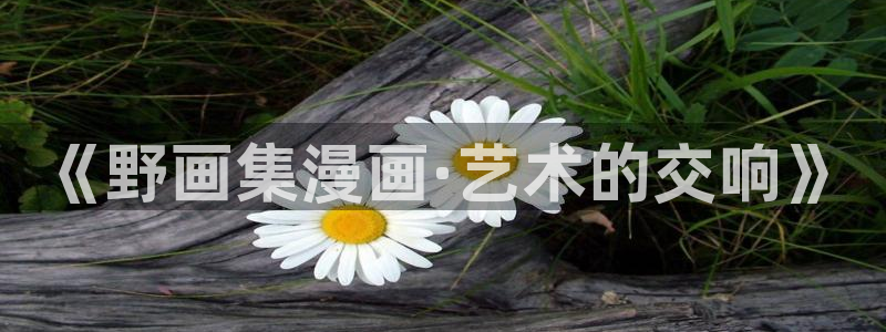 禁漫天堂aa漫