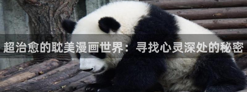 禁漫天堂,下载安装：超治愈的耽美漫画世界：寻找心灵深处的秘密