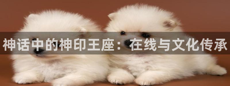 禁漫天堂公告板触碰封印解除下载：神话中的神印王座：在线与文化传承