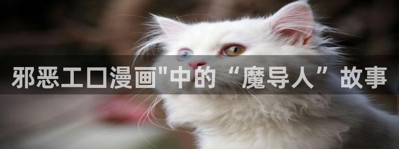 禁漫天堂网站下载入口