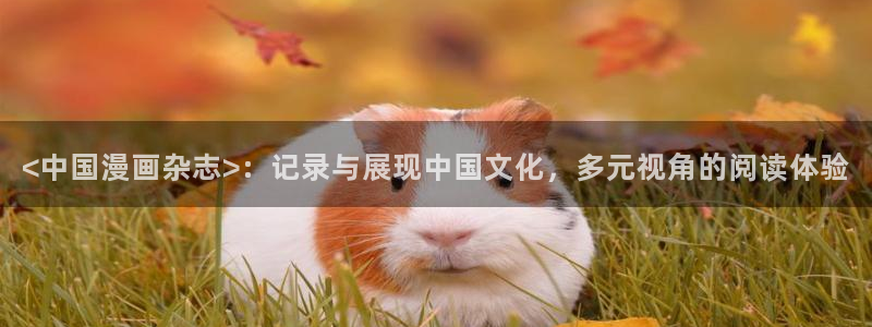 jk漫画禁漫天堂入口