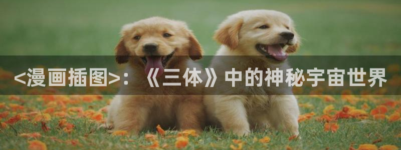 免费a漫-禁漫天堂