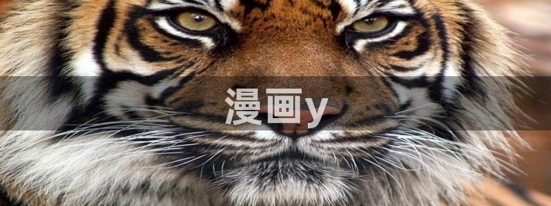 禁漫天堂1.2