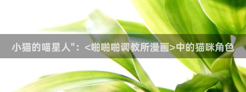 禁漫天堂官方下载入口