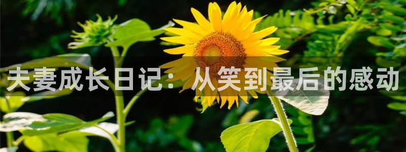 禁漫天堂新版本