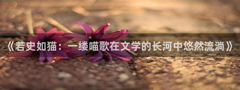 禁漫天堂a