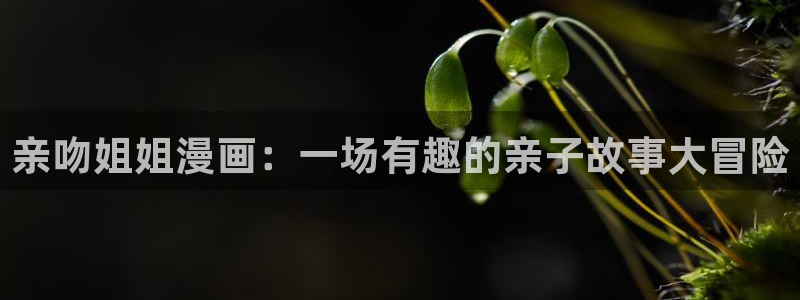 禁漫天堂h熊猫漫画网站