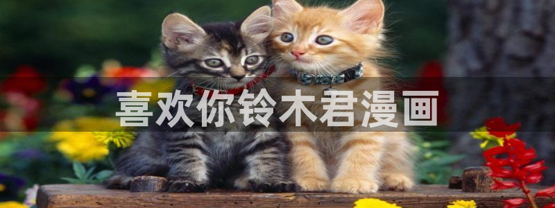 天堂禁漫免费版