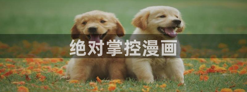 禁漫之家