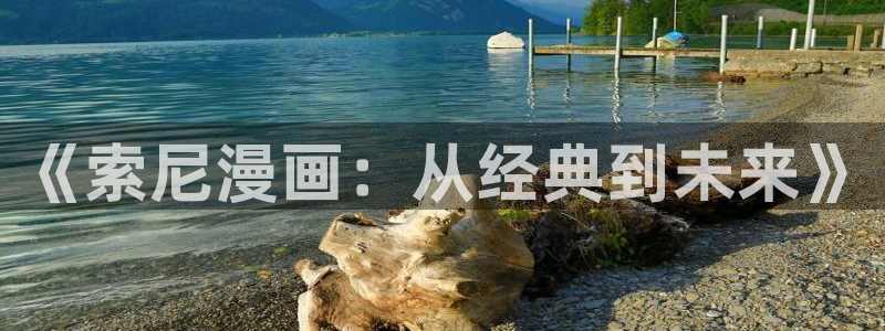 禁漫天堂在线使用：《索尼漫画：从经典到未来》