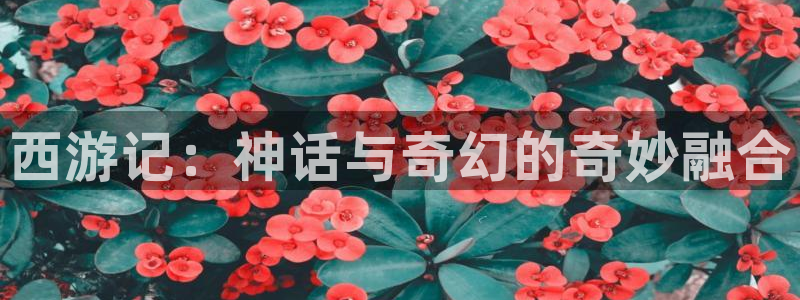禁漫之家网站：西游记：神话与奇幻的奇妙融合