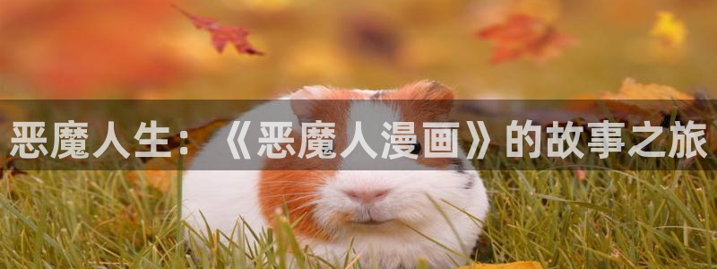 禁漫の天堂入口