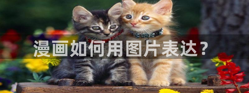 禁漫天堂18comic入口