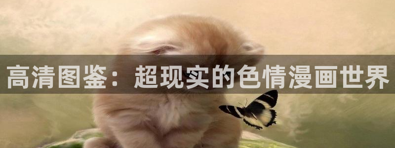 禁漫天堂的app