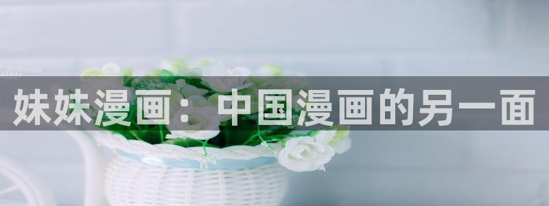 免费a漫——禁漫天堂