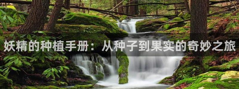 禁漫天堂 导航