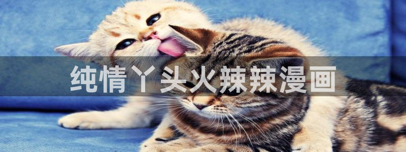 禁漫天堂进入口