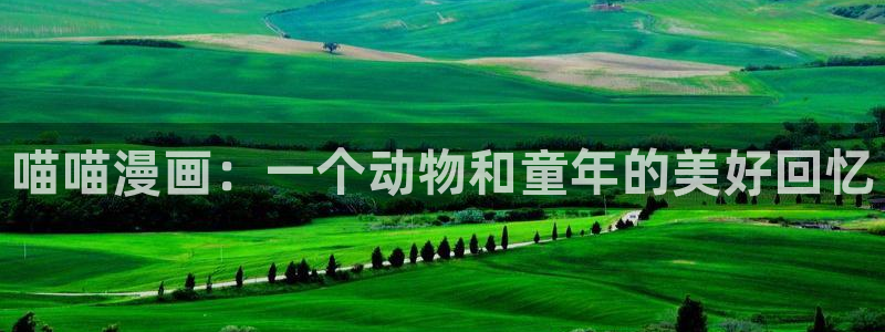 如何加速禁漫天堂