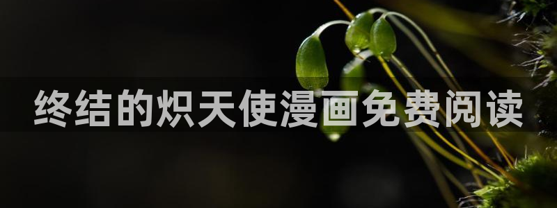 纲手禁漫天堂comic网站