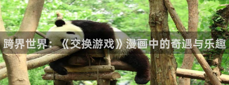 禁漫天堂免费破解