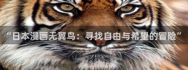 禁漫天堂免费版