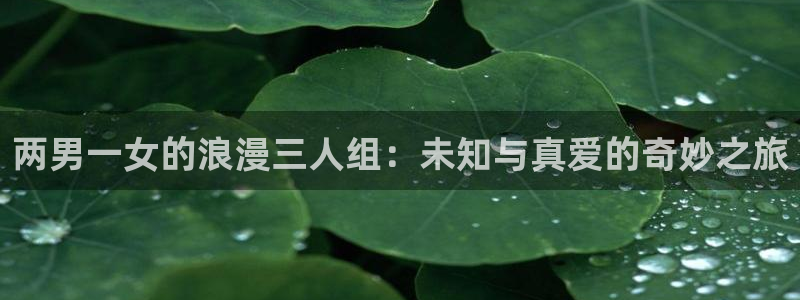 禁漫天堂 在线