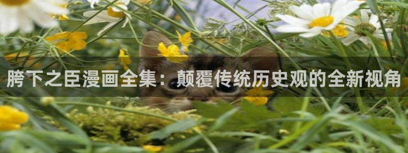 禁漫禁天堂a漫入口：胯下之臣漫画全集：颠覆传统历史观的全新视角